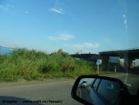 Imagine atasata: M43 Mako - 2014.07.17 - 04.jpg